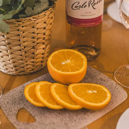 2homerent Shellter Natural *