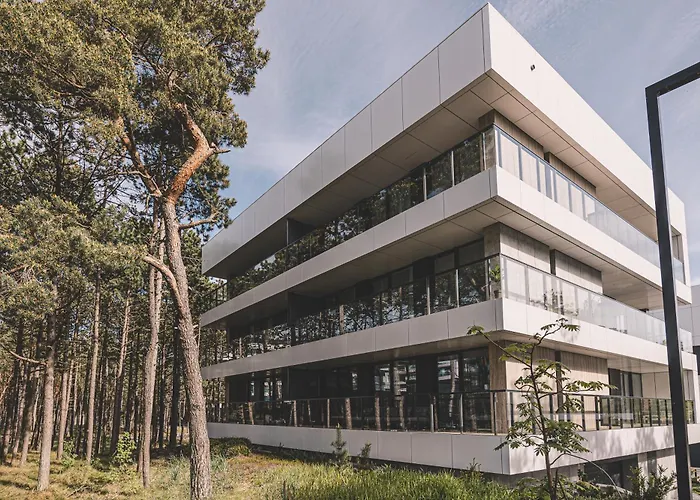 2homerent Shellter Natural